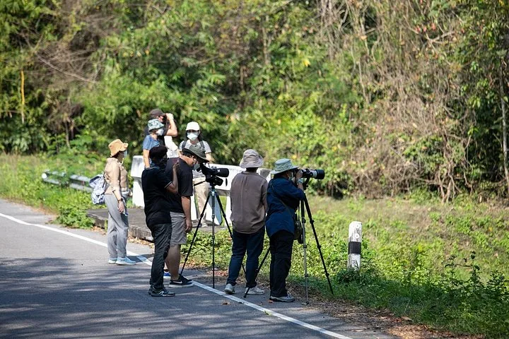 Eine Gruppe von Touristen mit Kameras und Ferngläsern, die vom Straßenrand aus Wildtiere beobachtet.