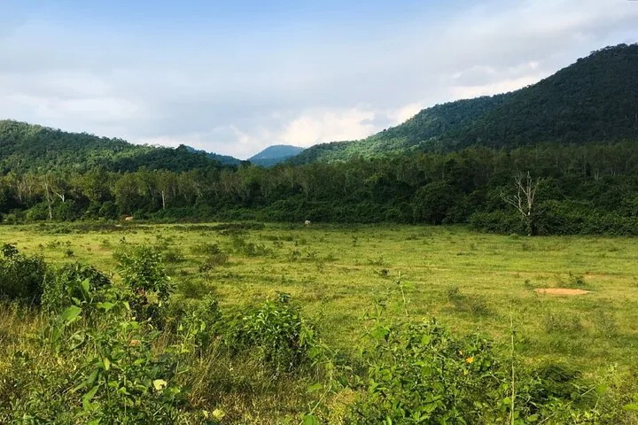 Ein weiter Blick über eine grasbewachsene Ebene, die von bewaldeten Hügeln im Park gesäumt wird.